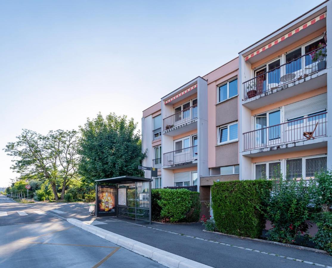 Le Grand Elsau - Wifi - Parking Gratuit - 15 Min Centre Apartment *
