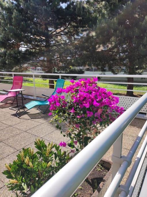 Appartement Comme Chez Vous
