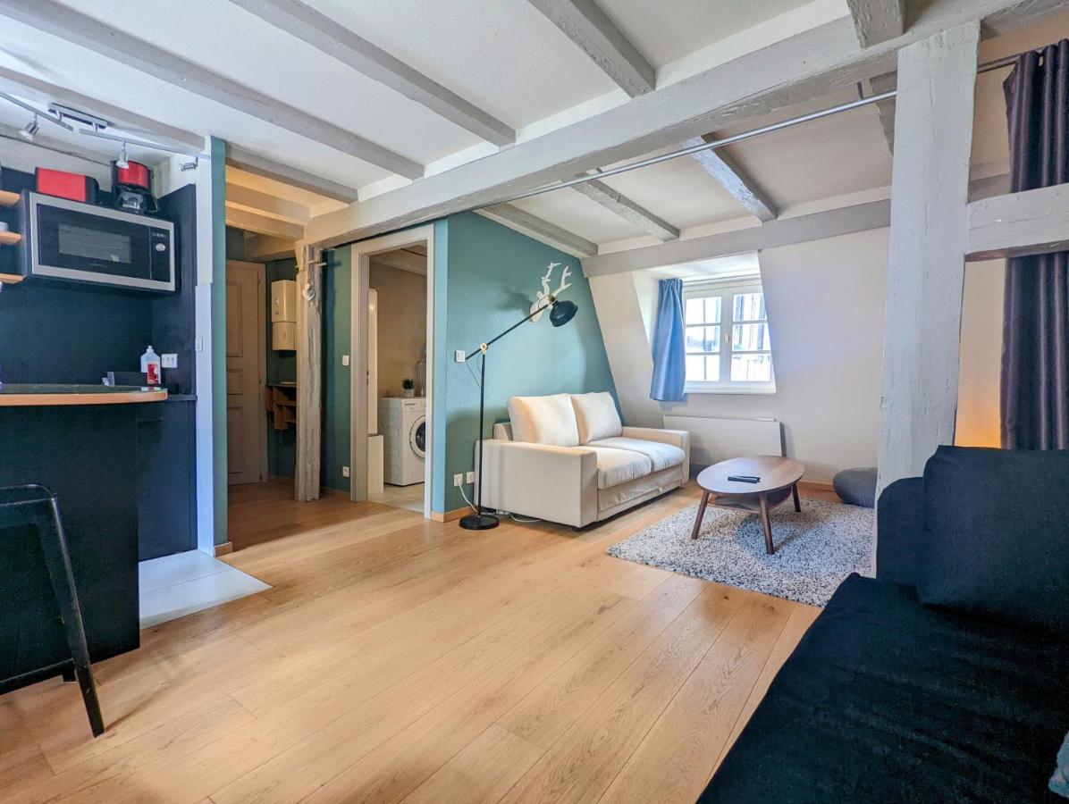Citycosy - Authentique Batelier Appartement Strasbourg