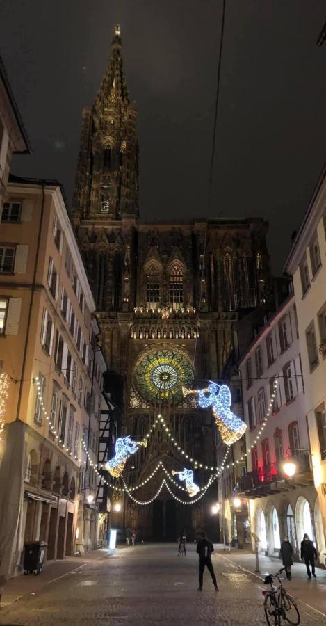 Loft Saint Thomas - Petite France Apartment Strasbourg