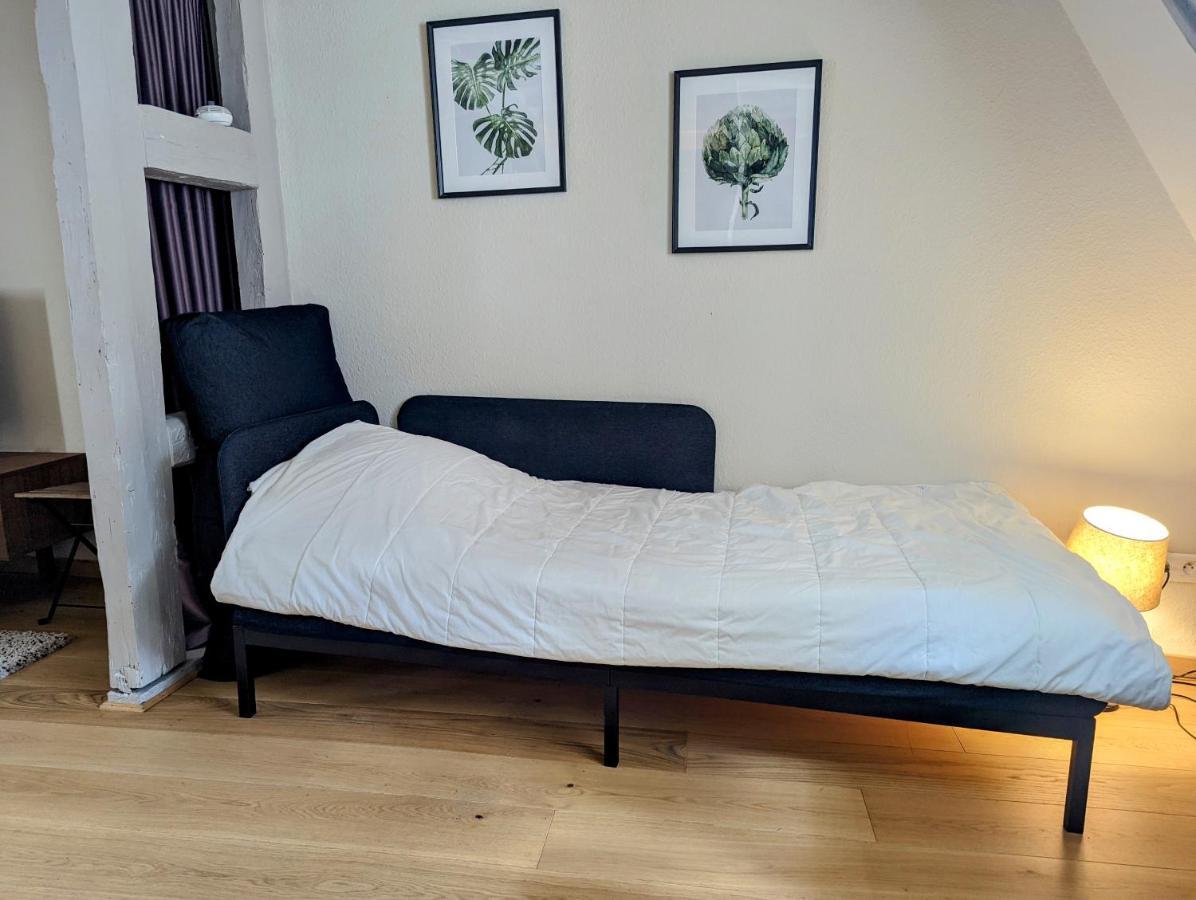 Citycosy - Authentique Batelier * Strasbourg