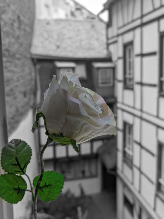 Appartement Citycosy - Authentique Batelier Strasbourg