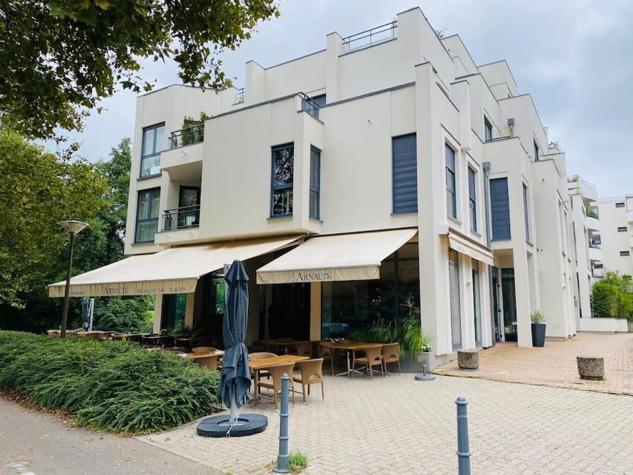 Citycosy Orangerie 2 Pieces En Face De Parc De L'orangerie Avec Un Parking Souterrain Compris Appartement