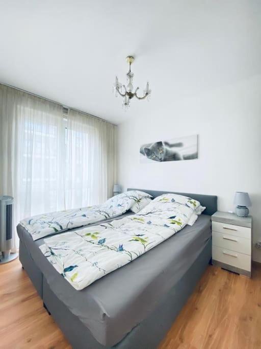 Apartment Citycosy Orangerie: Cozy Facing Orangerie Park With Parking