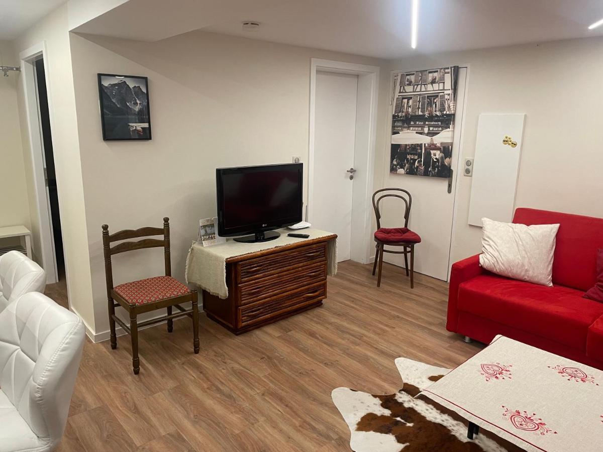 Prive Dans Meinau Residentiel Appartement Straatsburg
