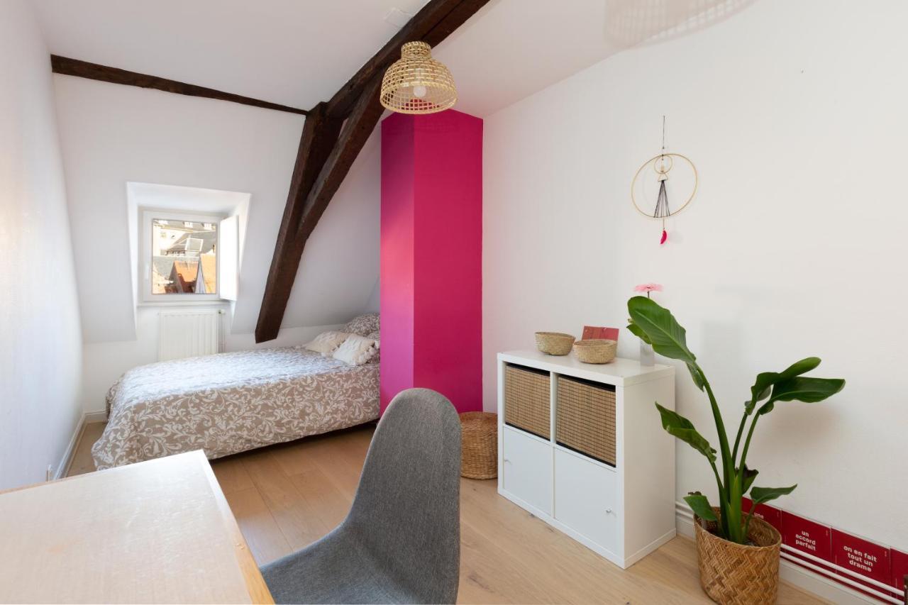 Petite France-cathedrale, Duplex 100m2- 3 * Straßburg