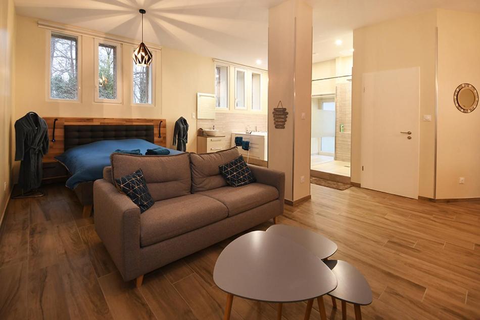 Apartamento Loft Detente Estrasburgo