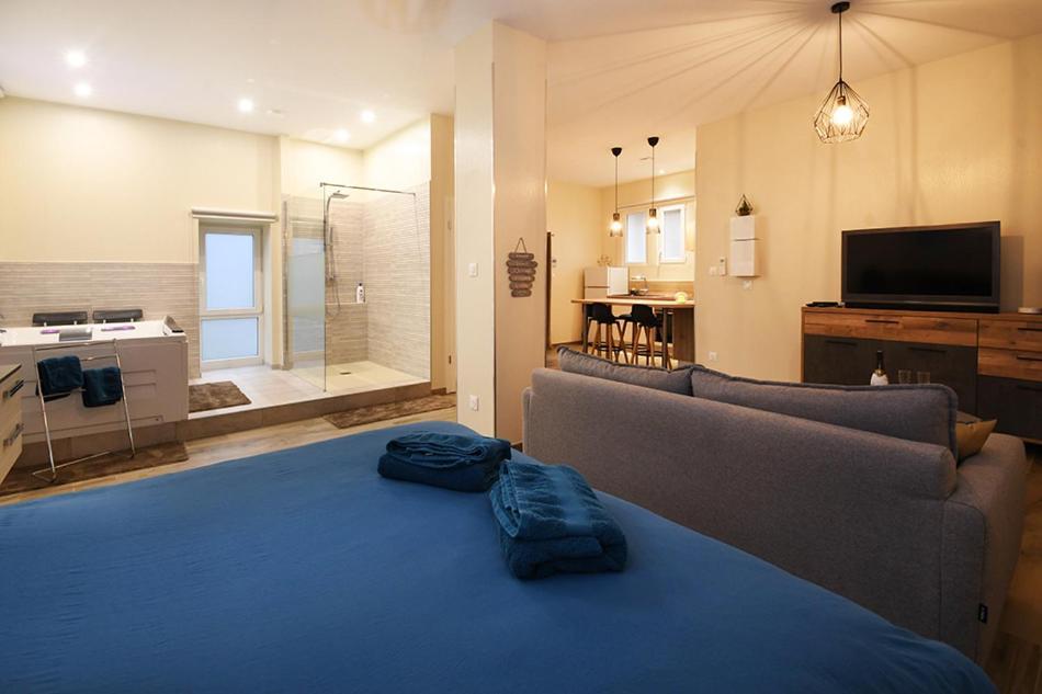Loft Detente * Strasbourg