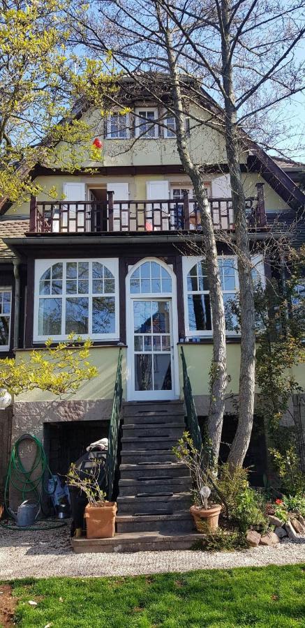 Homestay 50m2 Au Bord De L'eau A Strasbourg