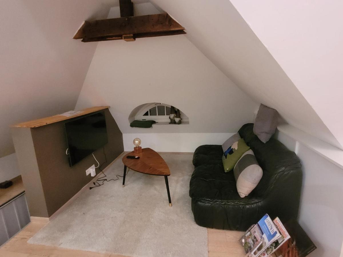 Homestay 50m2 Au Bord De L'eau A Strasbourg