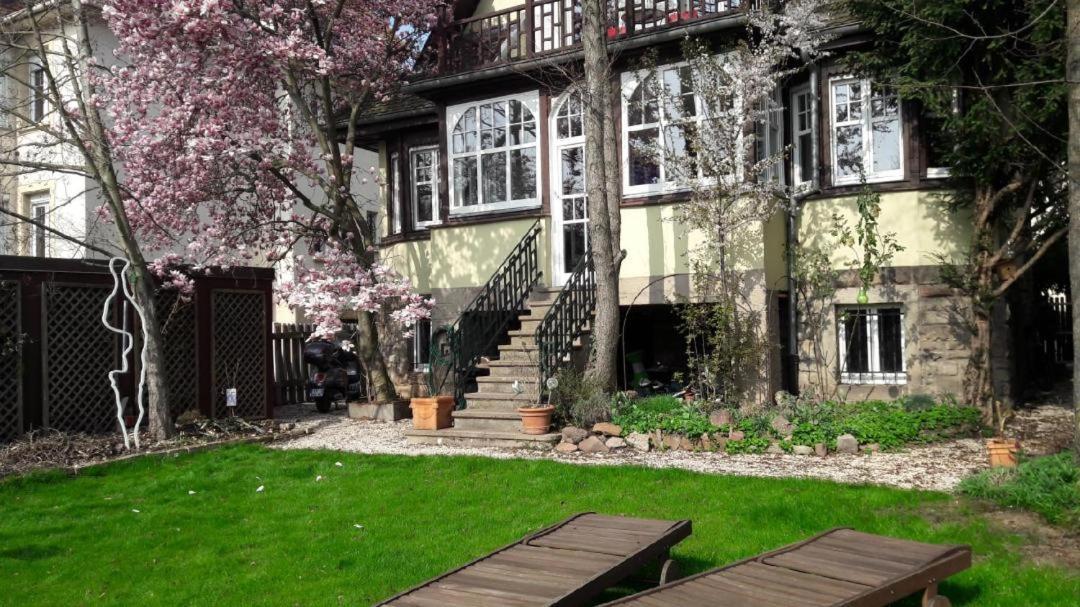 Homestay 50m2 Au Bord De L'eau A Strasbourg