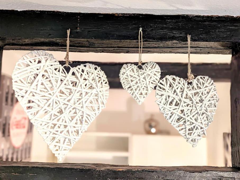 Citycosy-strasbourg : Romantic Bateliers Strasbourg