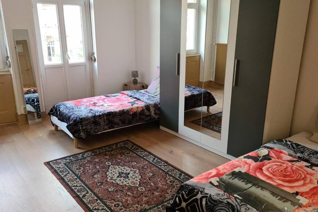 Grand 4p Orangerie 7 Personnes Proche D Allemagne Daire *
