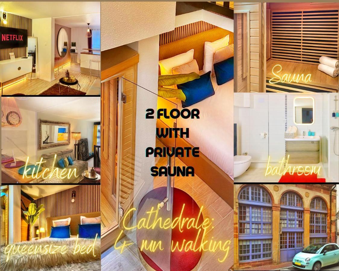 Duplex With Sauna City- Center Cathedrale