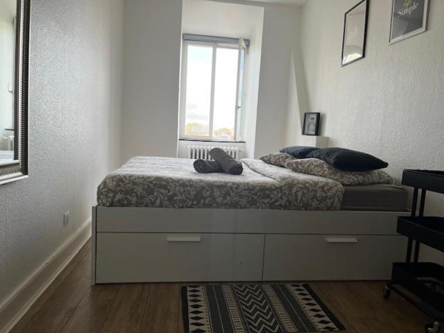 Appartement Cosy Rent Orangerie Tv Wifi Cathedrale