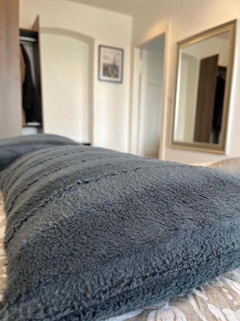 Cosy Rent Orangerie Tv Wifi Cathedrale Appartement Straatsburg