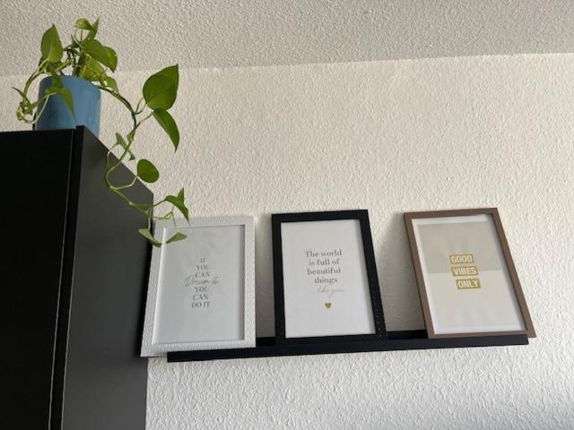 Cosy Rent Orangerie Tv Wifi Cathedrale Appartement