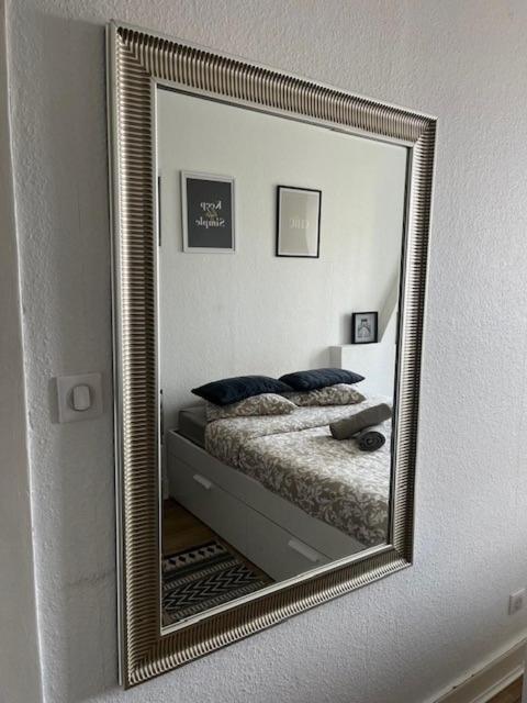 Cosy Rent Orangerie Tv Wifi Cathedrale Appartement Straatsburg
