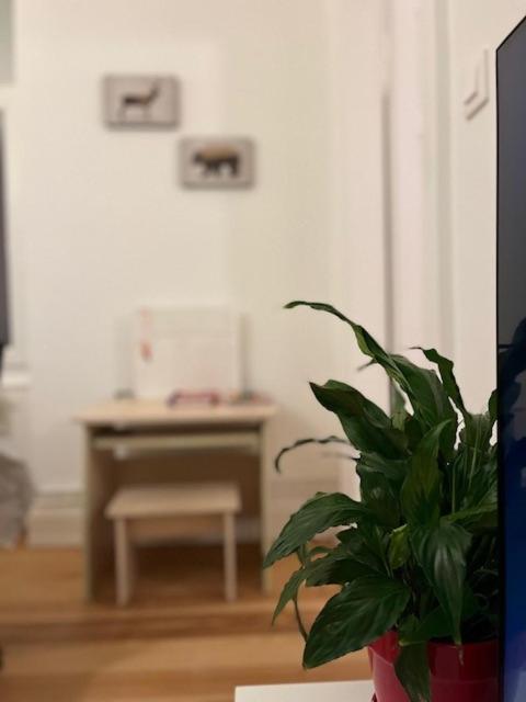 Appartement Cosyrent-strasbourg Gare 2-wi-fi Strasbourg