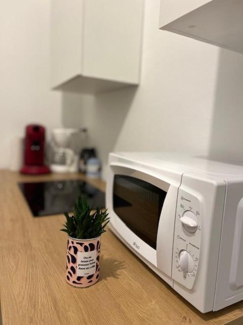 Cosy Rent-strasbourg Gare 1-wifi * Straßburg