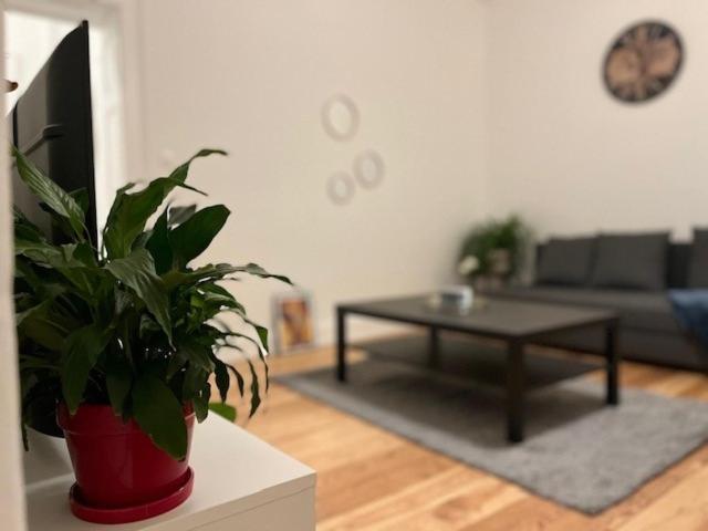 Cosyrent-strasbourg Gare 2-wi-fi Appartement