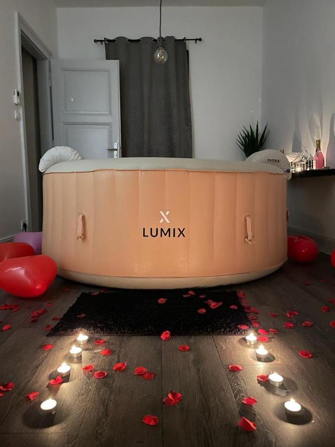 Cocoon Jacuzzi Apartment Strasbourg