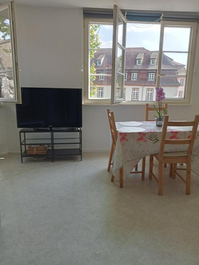 Apartment Au Coeur De La Petite France Strasbourg