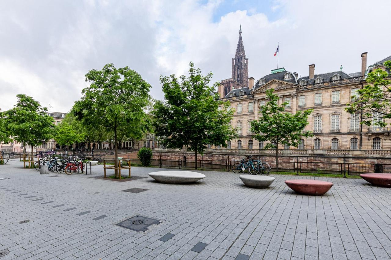 Le Ronny Cathedrale Strasbourg
