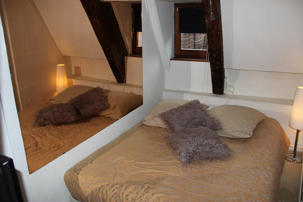 Unik's & Terraza Appartement Strasbourg