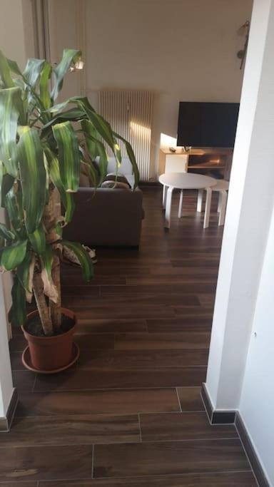 Appartement Magnifique