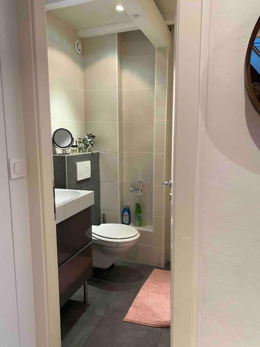 Duplex Privatise, Climatise, 2 Apartament Strasburg