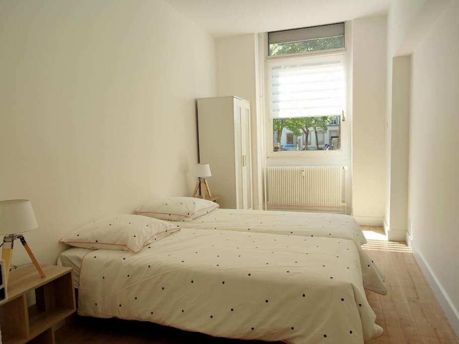 Centre Appartement Straatsburg