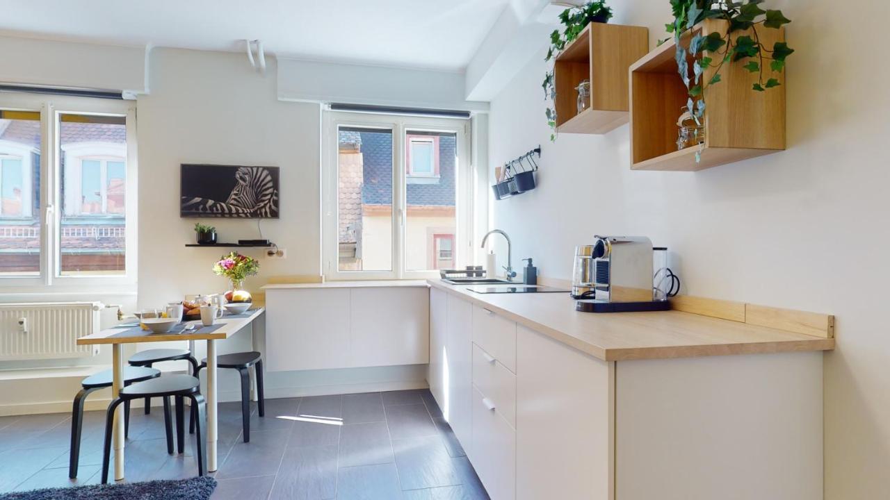 Privative 43m2 - Les Tailleurs A 120m De La Cathedrale * Strasbourg