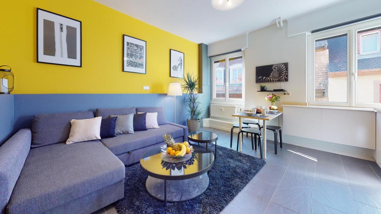 Privative 43m2 - Les Tailleurs A 120m De La Cathedrale Apartment *