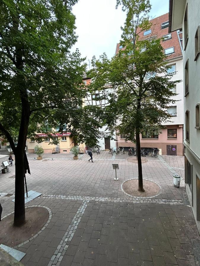 Petite France Appartement Straatsburg