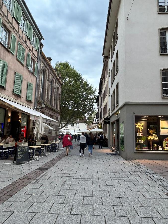Petite France Appartement Straatsburg