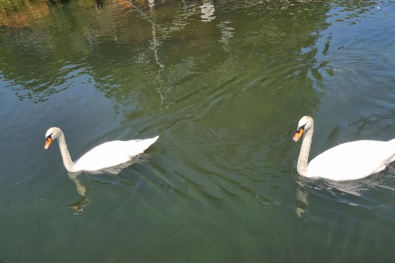 Au Fils De L'eau Strasbourg
