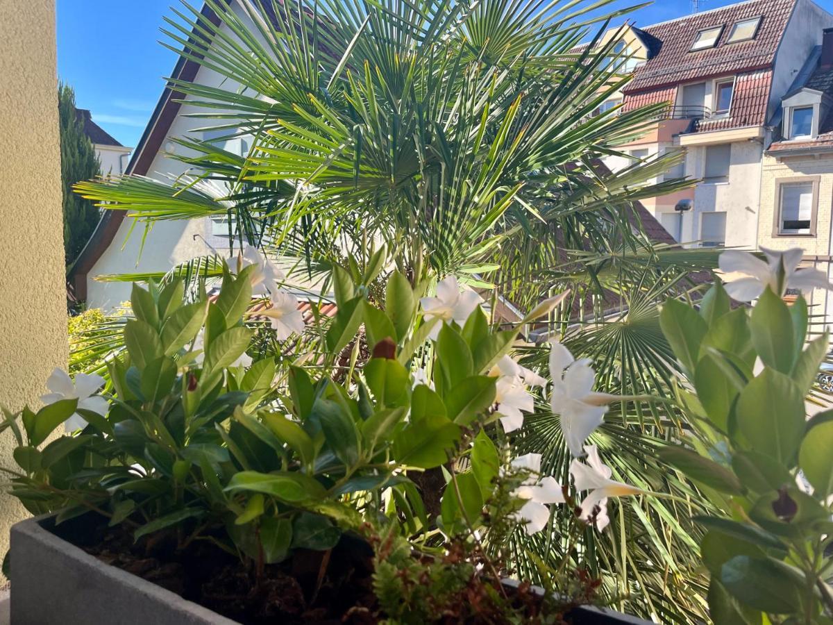 Les Maraichers * Straatsburg