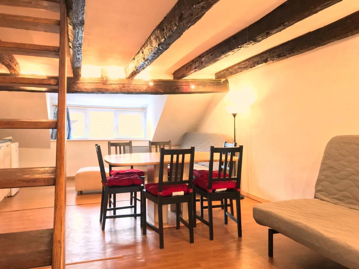 Attic Duplex In The Heart Of Appartement Straatsburg