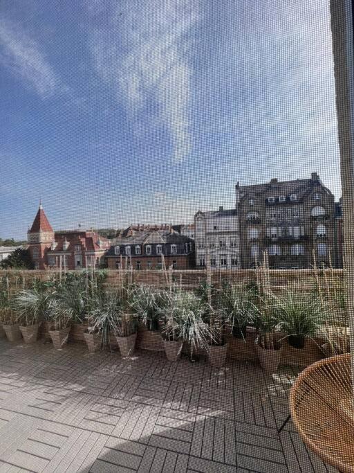 Apartament Cosy Orangerie Strasburg
