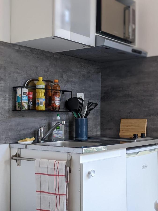 Studio Lumineux Proche Centre Apartment