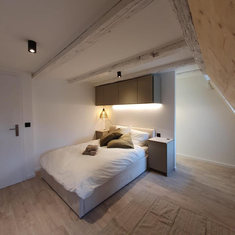 Hyper Centre Apartament Strasburg