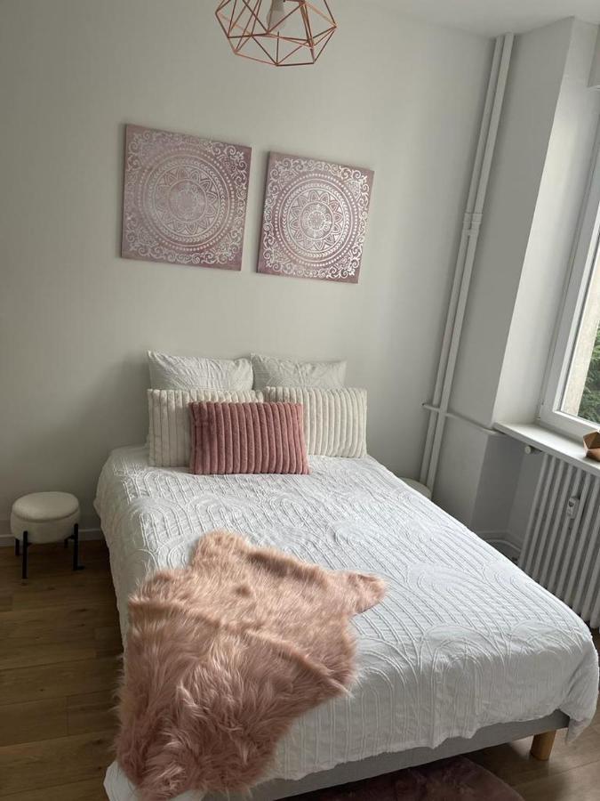 Apartment 3p Rdc Orangerie- Parlement Europeen Strasbourg
