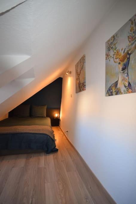 Apartment Le Du Quai Des Pecheurs - Duplex Sur Les Quais Strasbourg
