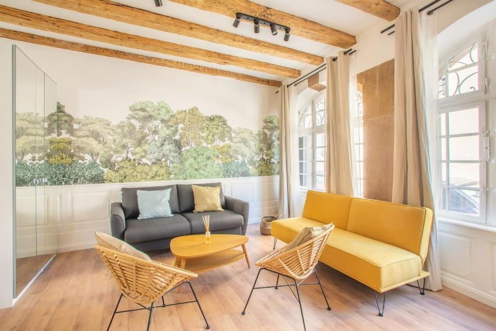 Apartment La Halte Strasbourgeoise - Superbe Appt Pres De La Petite France