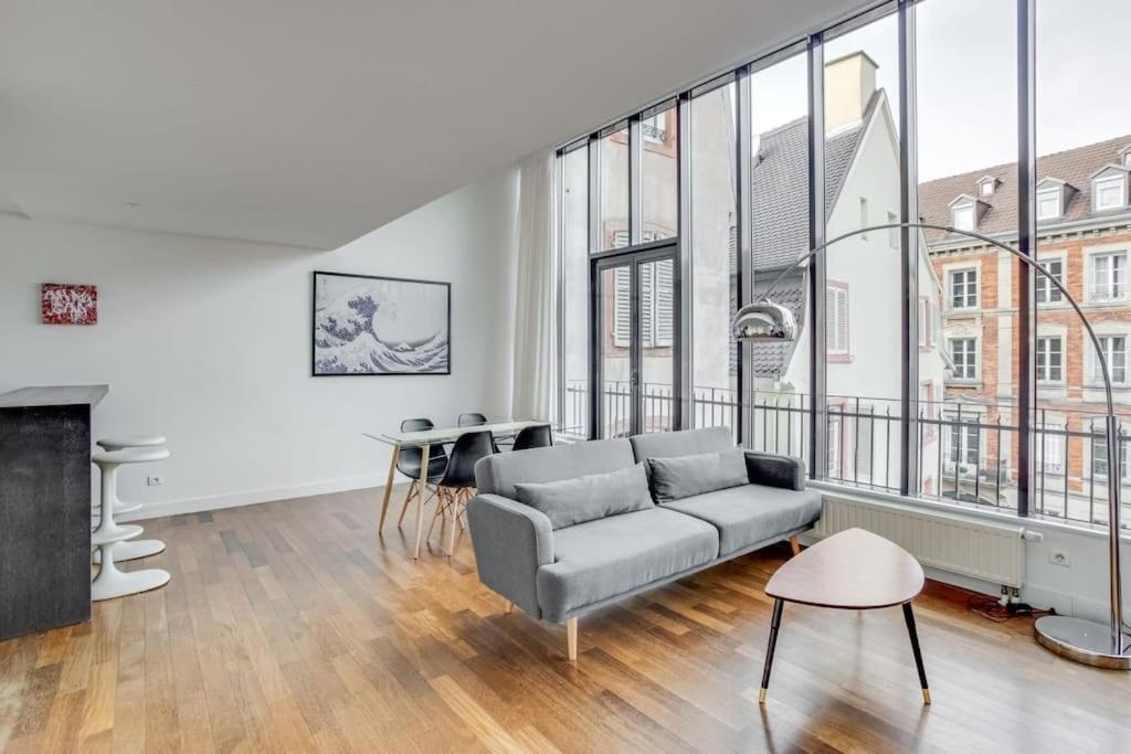 Apartment Le Loft Des Lumieres - Superbe Loft Lumineux Au Coeur De La Krutenau