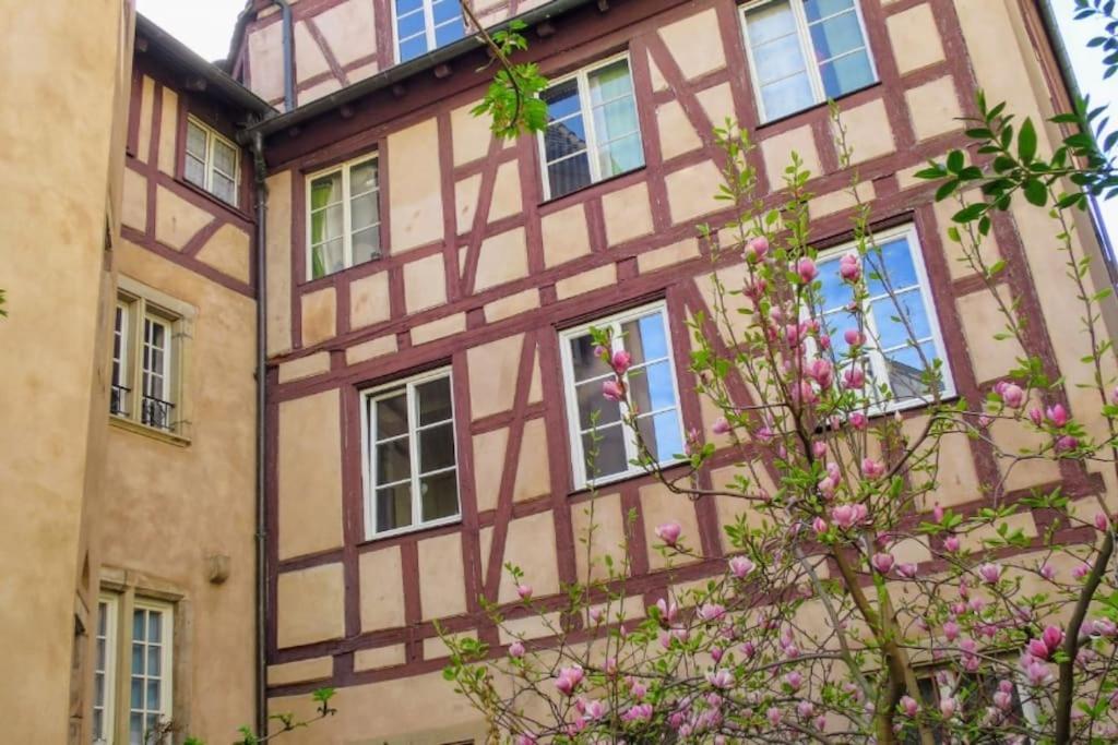 Le Finkwiller - Cosy Au Coeur De * Straatsburg