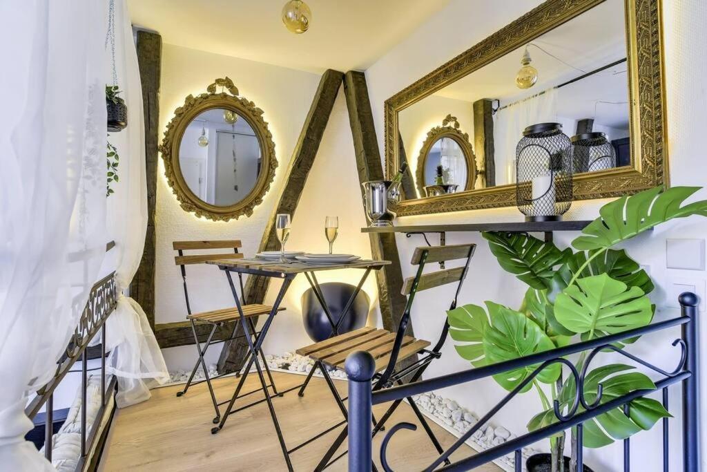L'entracte Strasbourgeoise - Au Coeur De La Petite France Apartment Strasbourg