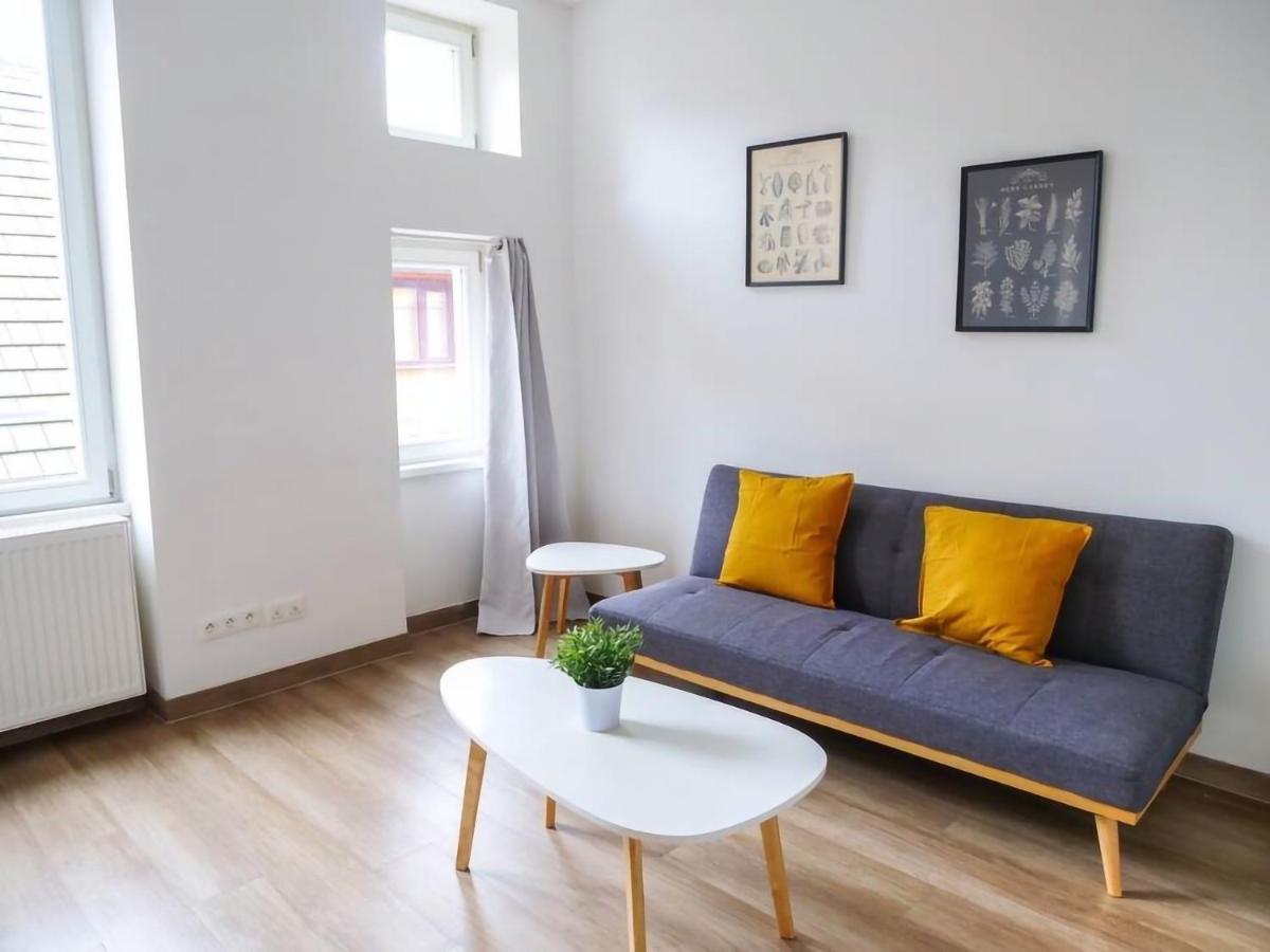 Apartament Thiergarten - T2 A Proximite De La Gare *