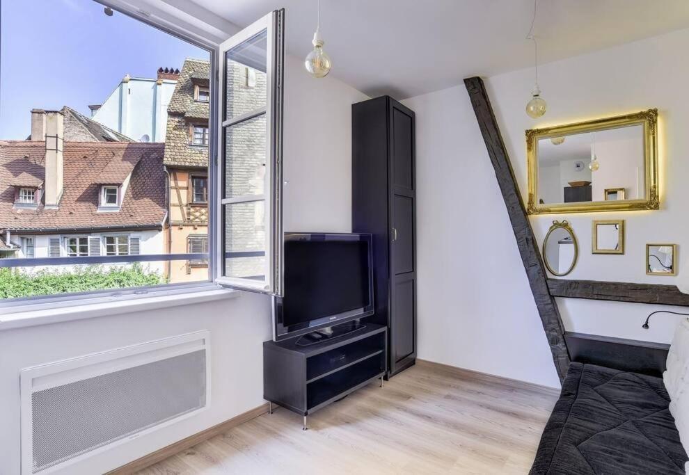 Apartment L'entracte Strasbourgeoise - Au Coeur De La Petite France Strasbourg